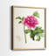 Impression encadrée PrettyPinkBotanicalsI-Premium - prête à être accrochée - aucun clou requis - aucun clou requis-675673456-675673461