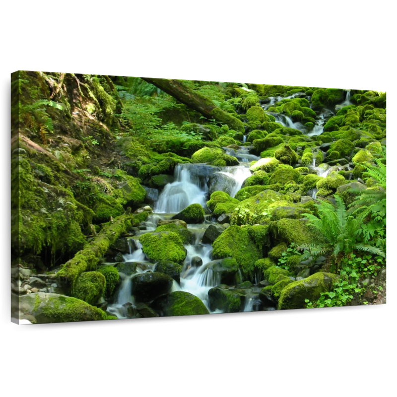 Alvord Stream At Olympic National Park, 34" H x 51" W