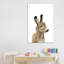 «Baby Donkey» par Sissi & Seb - reproduction de photo-52936698-52936704-52936713