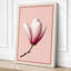 Magnolia Blossom Botanical - Wrapped Canvas-2049727703-2049727702