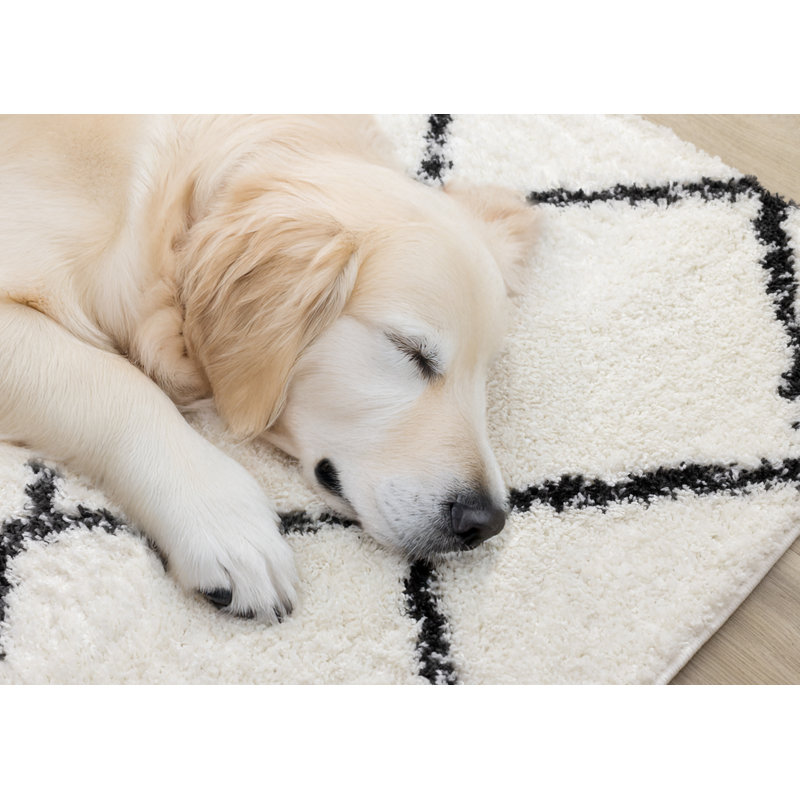 Tapis intérieur noir à poils longs Simple, Rectangle 5 pi 3 po x 7 pi 7 po