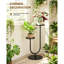 Plant Stand