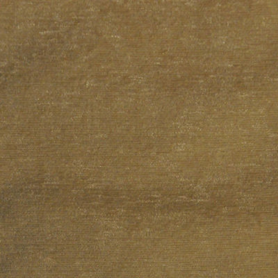 Plush Fabric