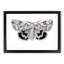 Underwing Moth by S.F. Denton - Picture Frame Painting Print-55604983-55604985