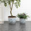 Pot à fleurs rond 12,2 po bleu et blanc à motif floral, grand pot en céramique avec drainage-1617723909