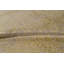 Damask Area Rug