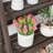 Armisha Ladder Bookcase