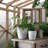 Pot Planter