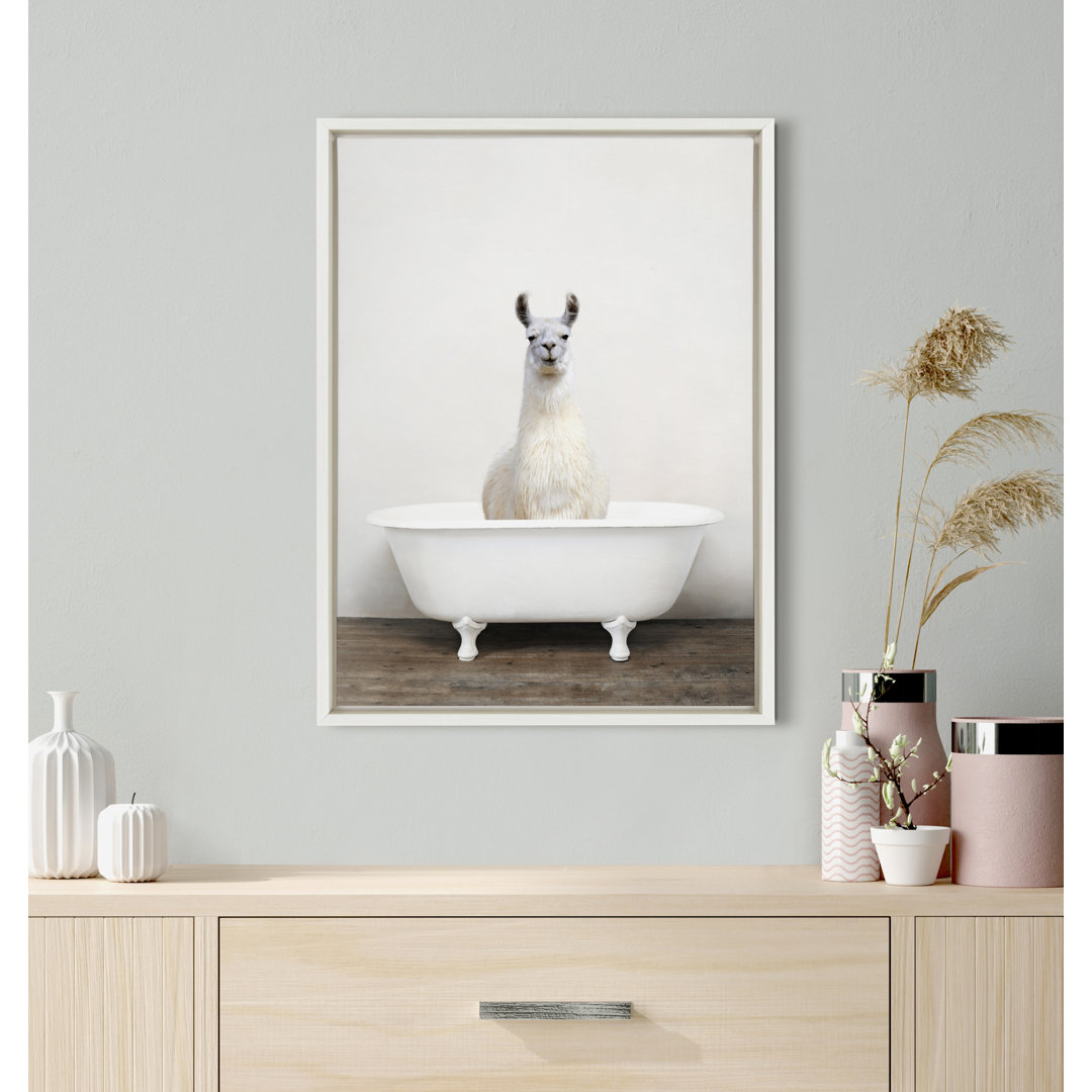 Alpaca in the Tub Color by Amy Peterson Framed Canvas Wall Art Print Trinx Frame 