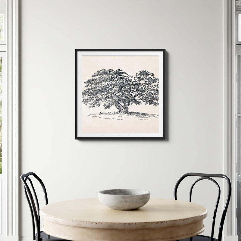 «Wide Oak Tree S Croquis» par Apolo, Oui, H 30 po x l 30 po, Papier avec cadre simple noir