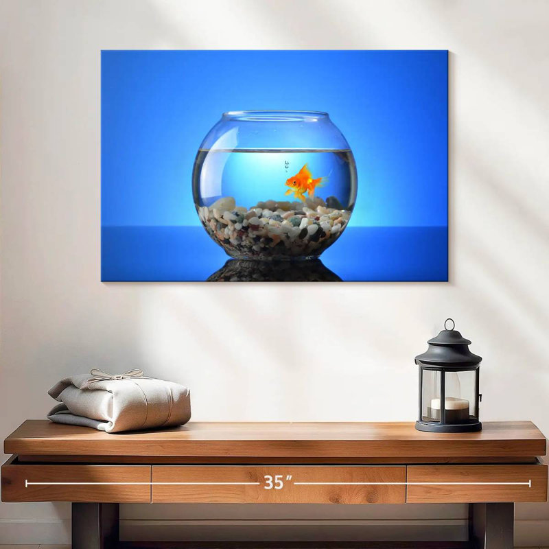 Brampt Pet Goldfish