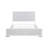 Buckley Upholstered Panel Bed-120277789