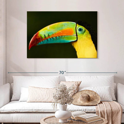 Brampt Toucan's Long Beak