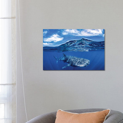 Whale Shark Over Under by Jordan Robins - Wrapped Canvas Print