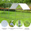Adriell Walk In Chicken Run-905974993