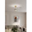 Ventilateur de plafond intelligent DEL 5 "FoxCC-124318089-124318091