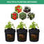 Grow Bags With Window