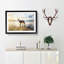 Border Collie Dog at the Beach in Abstract - Framed Print-55678991-55678996