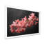 Rose, noir, lilas, jardin, glamour - lilas, art mural-1551755073-1551755079