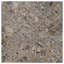 Rizo 48x48 Matte Terrazzo Look Porcelain Tile-1299689466