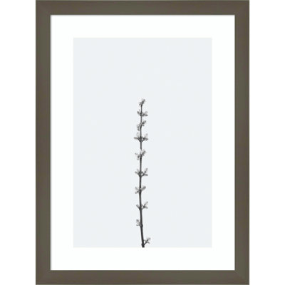 Retro Tennessee Botanical No 1 Photo Print