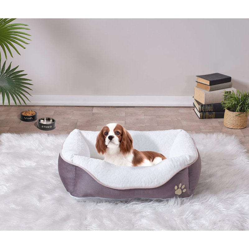 Lit confortable pour animal de compagnie en mousse, anthracite, 19,06 po X 12,79 6,91 po, conception mixte anthracite pour chats de taille moyenne, lavable
