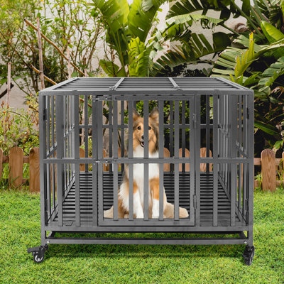 Caisse pour animaux robuste