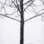 Arbre effrayant 3 lumières d'Halloween avec lumières mauves, 4 pi 5 pi et 6 pi, arbre noir éclairé pour la décoration d'Halloween