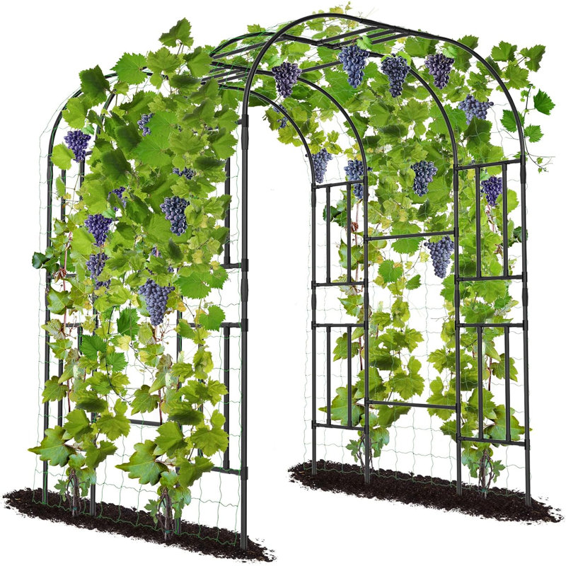 Treillis arqué pour jardin extérieur