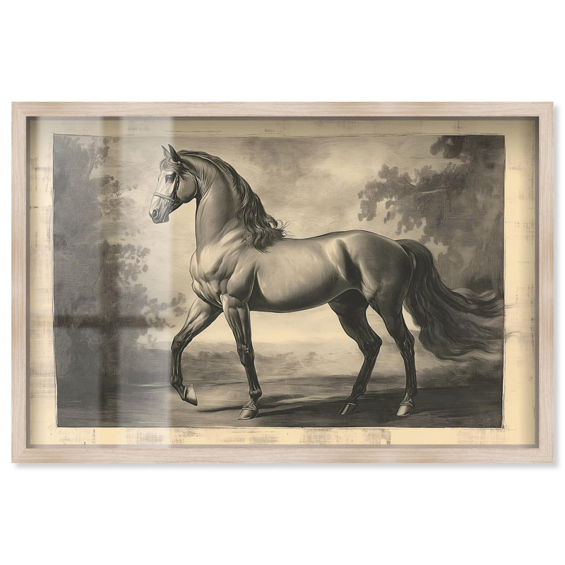 Croquis d'un étalon, boîte d'ombre, animaux de la ferme, art par Art Remedy, H 11 po x l 16 po, Crème, crème