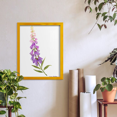 Annie's Foxglove II