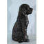 Statue de chien Nendao en aluminium Goldendoodle avec détail de fourrure bouclée - Sculpture pour animal de compagnie de style bronze pour l'intérieur et l'extérieur - 21 po x 11 po x H 27 po