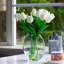 Vase en verre ovale unique-1585604904