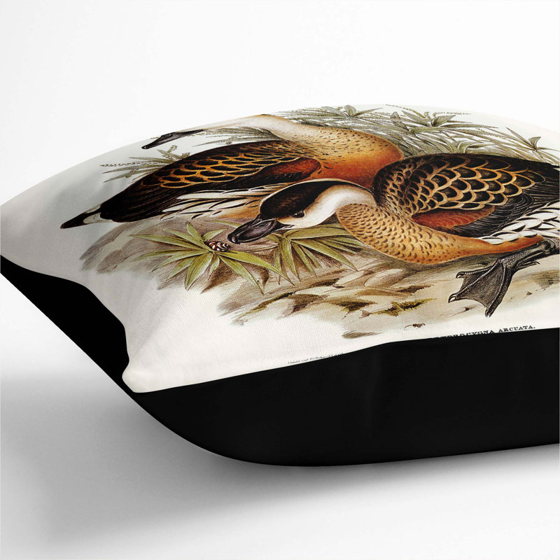 Square Throw Cushion, Black, 40cm H x 40cm W x 15cm D