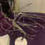 Customer photo 2 of 2