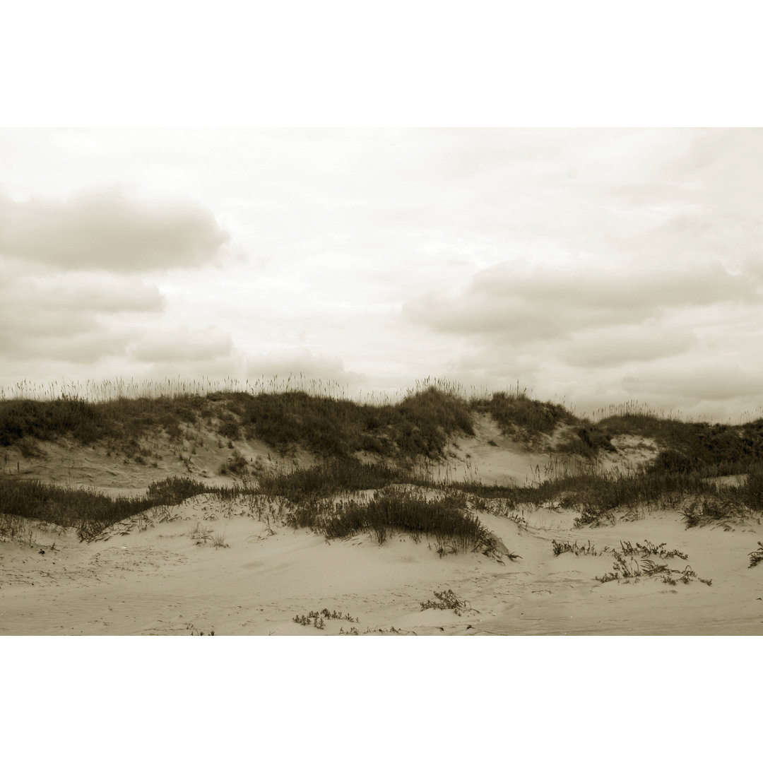 Leinwandbild Ocracoke Dune Study III