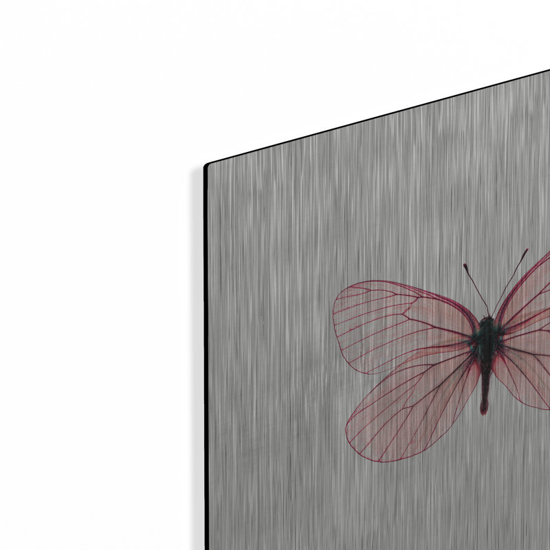 «Papillon rose» par PhotoINC Studio, H 12 po x l 12 po