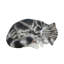 Animals Polyresin Garden Statue-1897219407