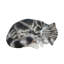 Sleeping Cat Figurine-1087264283