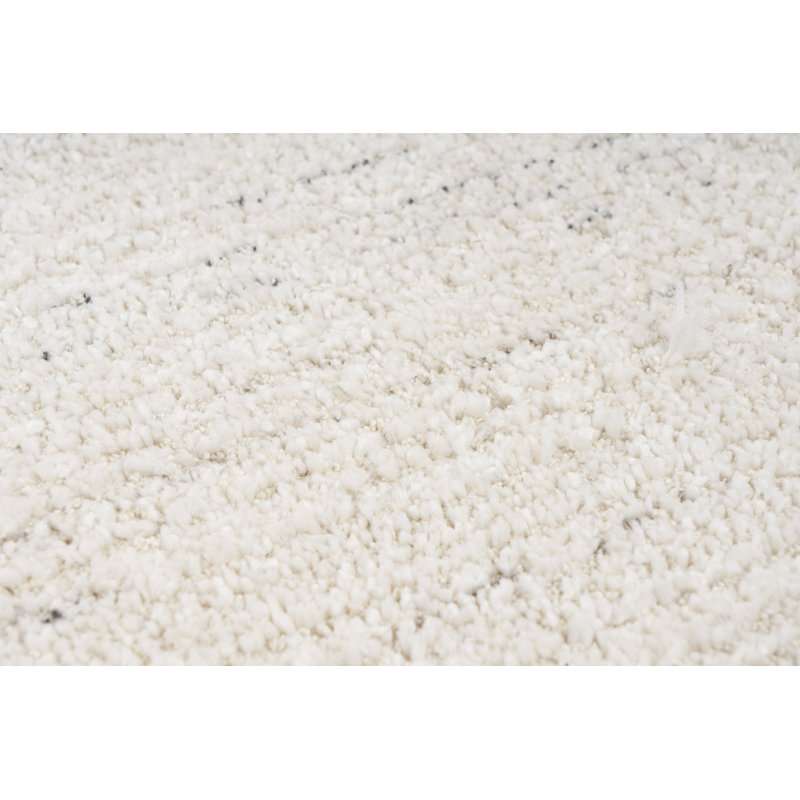 Roshana Vintage Look Area Rug, Rectangle 80 x 150cm