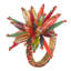 Harvest Constellation Napkin Ring