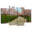 Sentier Harnek Cherry Blossoms-108835122