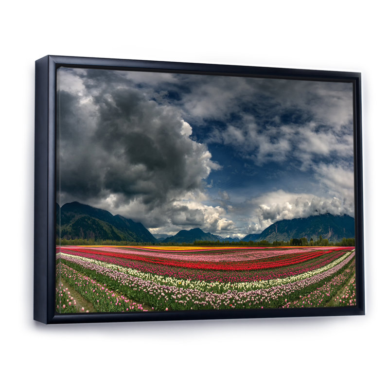 Champ de fleurs de nuages gris - œuvre d'art traditionnelle sur toile, H 24 po x l 36 po x P 1 po