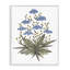 «Where Wild Flowers Bloom», estampe numérique, design par Cecilia Battaini-1952318351-1952318355