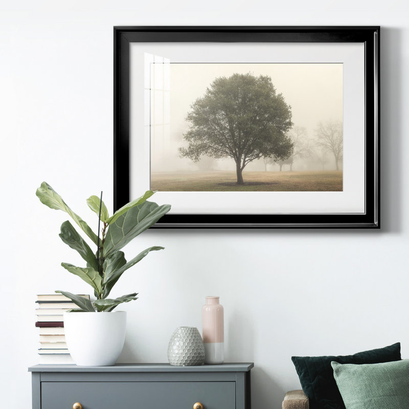 " Trees In The Fog I ", Black Framed, 18.5" H x 24.5" W x 1" D, White