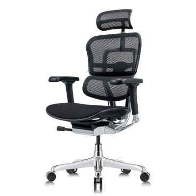 Fauteuil de bureau ergonomique Tempur-Pedic Ergohuman Gen2