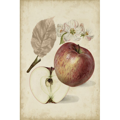 «Harvest Apples II», peinture sur toile
