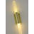 Modern 2-Light Brass Wall Sconce 