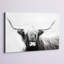 Highland Longhorn - peinture sur toile tendue-2105875445