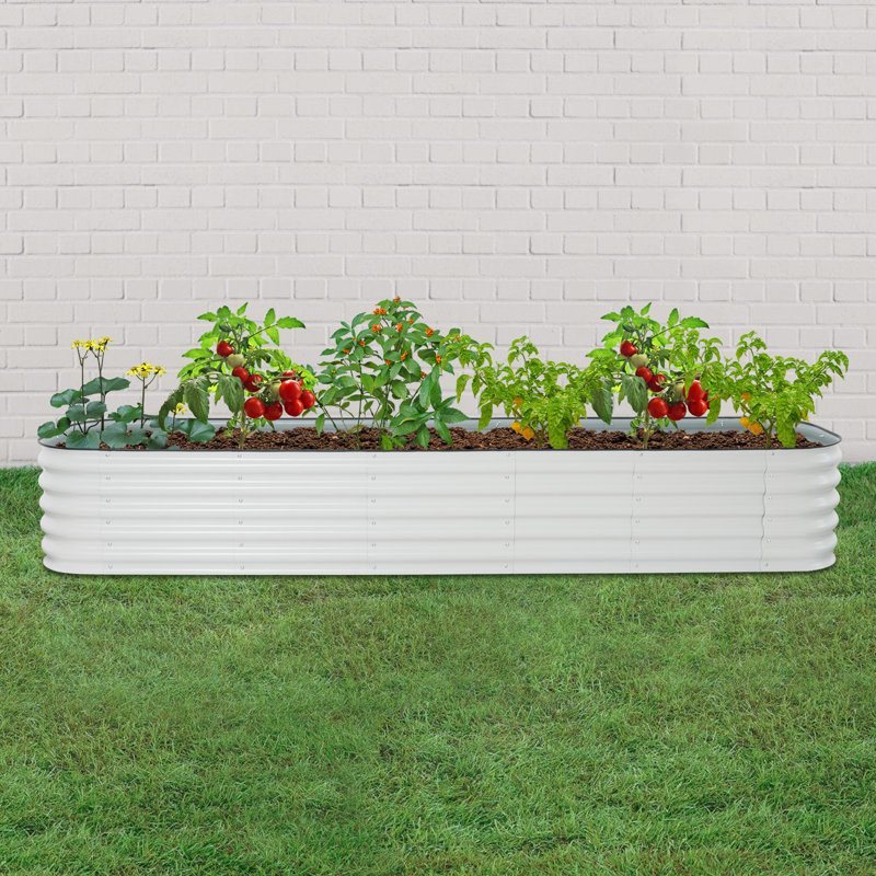Metal Raised Garden Bed Planter Box, 16.94" H x 112.29" W x 23.64" D, White